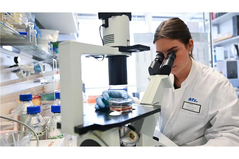 Eine Mitarbeiterin des Deutschen Krebsforschungszentrum bearbeitet in einem Labor unter dem Mikroskop eine Probe.