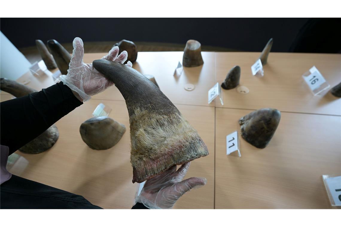 Singapur stoppt bisher größten Schmuggel mit Nashorn-Horn