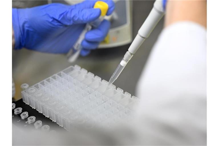 Eine Mitarbeiterin eines Testlabors bereitet PCR-Tests vor. Foto: Bernd Weißbrod/dpa