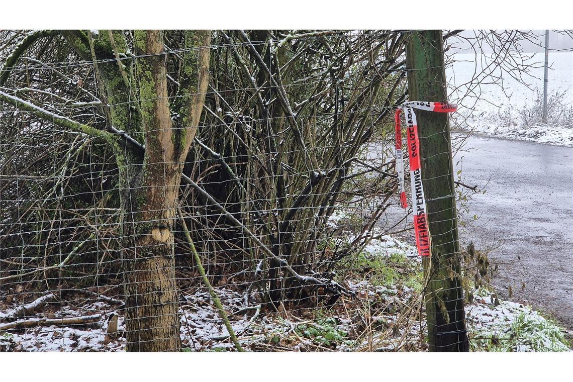 Jugendlicher tot an See gefunden - Mordkommission ermittelt