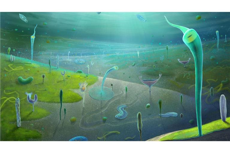 Eine neu entdeckte Fossil-Lagerstätte in China verrät, wie die Lebenswelt vor 554 bis 539 Millionen Jahren aussah.