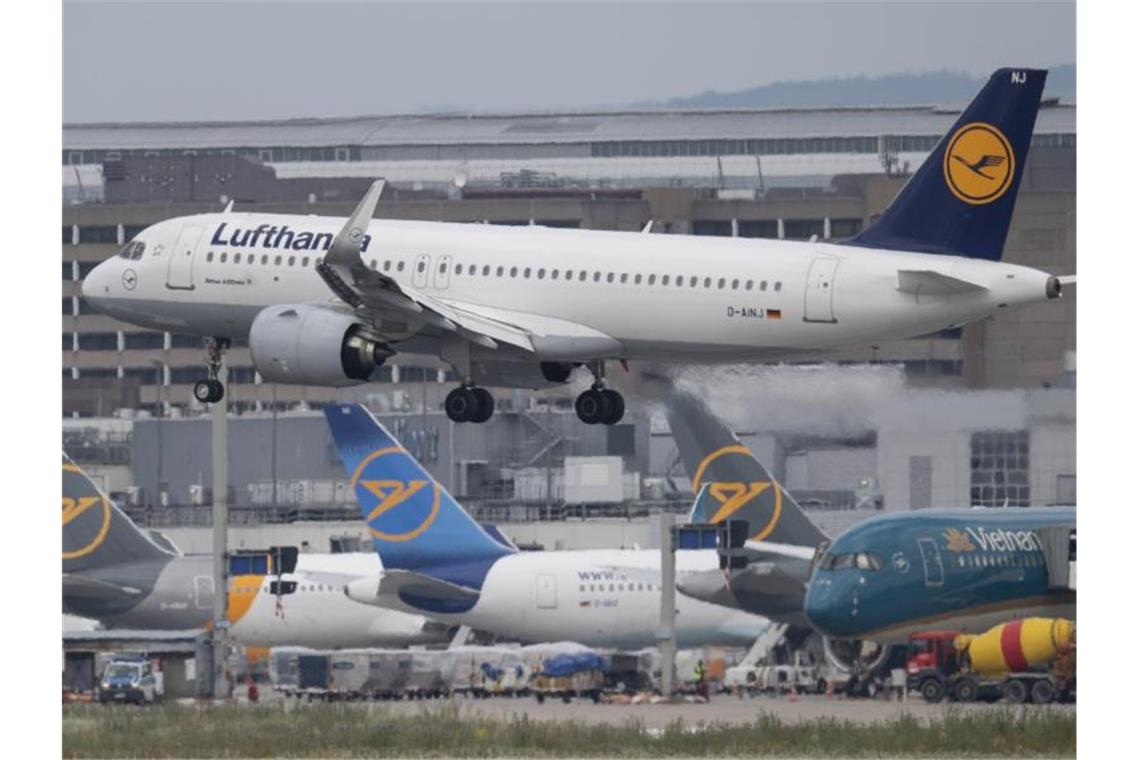 Luftfahrt lehnt verschärfte Quarantäne für Flugreisende ab Eine Passagiermaschine der Lufthansa landet auf dem Flughafen in Frankfurt. Foto: Boris Roessler/dpa