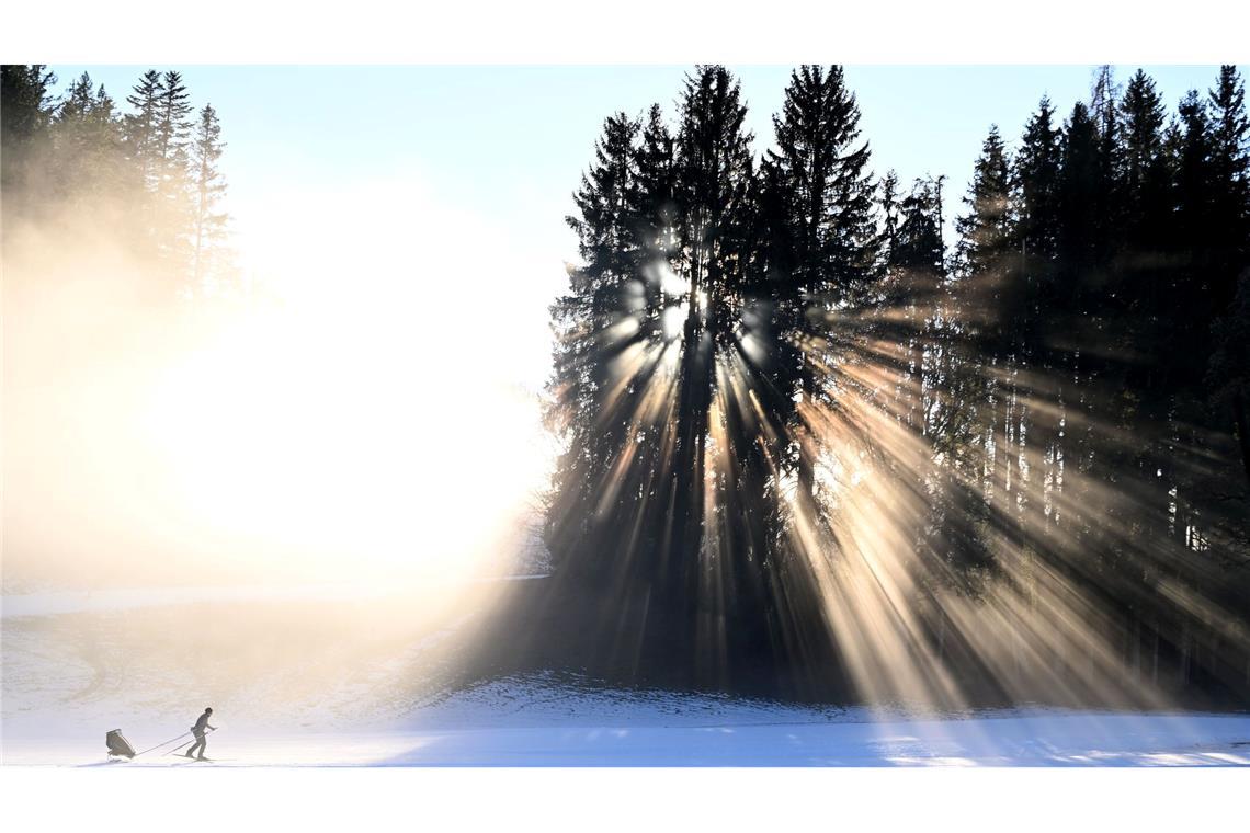 Eine Person ist mit Langlaufski am Hochplateau Ramsau am Dachstein unterwegs.