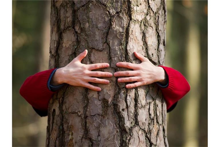 Eine Person umarmt einen Baum. Foto: Patrick Pleul/dpa-Zentralbild/dpa/Symbolbild