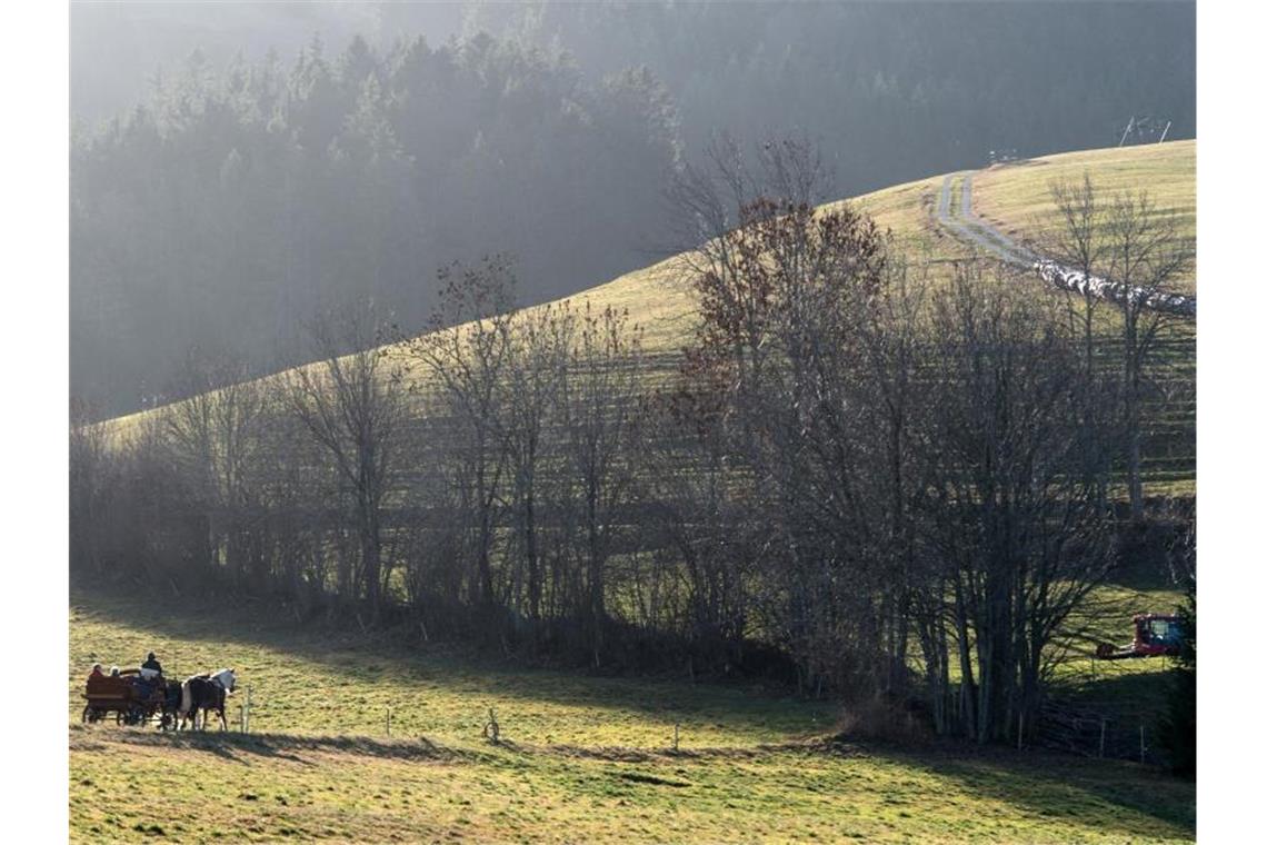 Eine Pferdekutsche fährt im Schwarzwald durch die grüne Landschaft. Foto: picture alliance / dpa / Archivbild