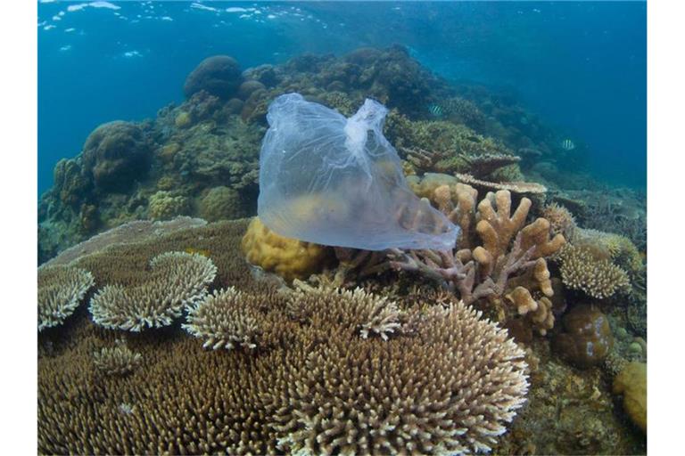 Eine Plastiktüte auf einem Korallenriff in Malaysia. Foto: WWF/dpa