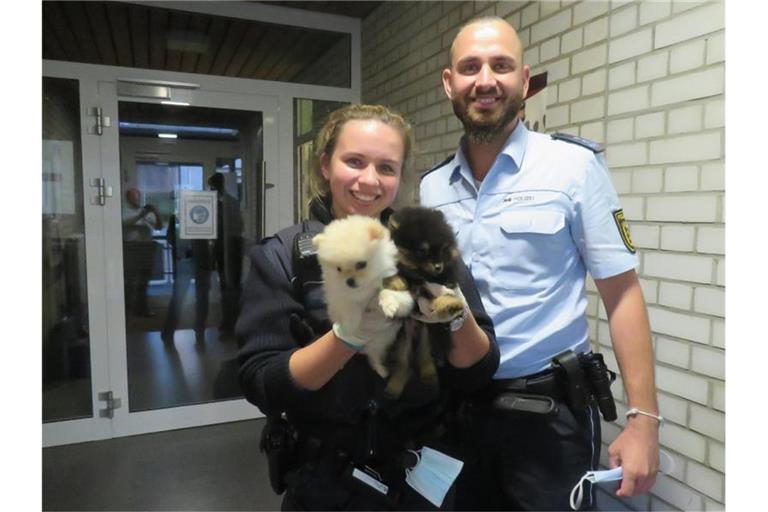 Eine Polizistin hält zwei Zwergspitz-Welpen die aus einem Transporter gerettet wurden. Foto: Verkehrspolizei Tauberbischofsheim/dpa