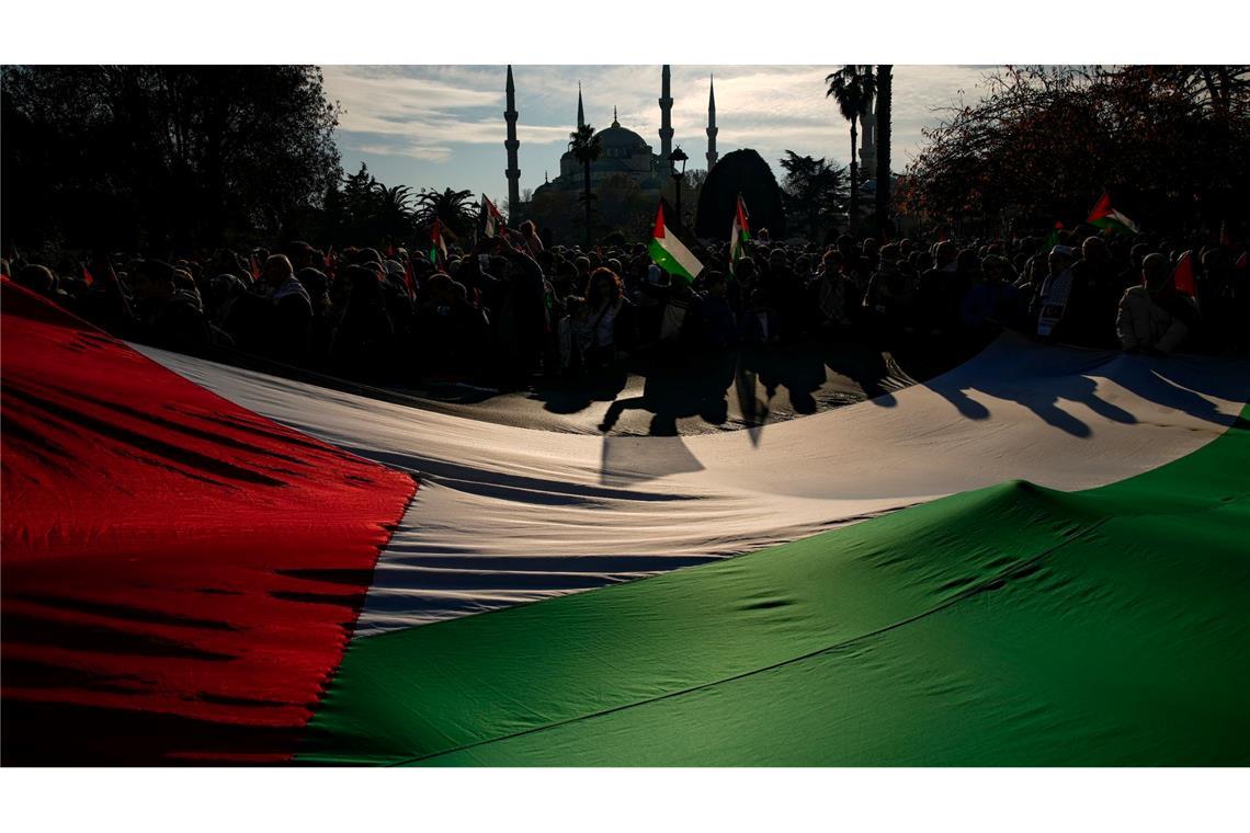 Eine pro-palästinensische Demonstration vor der Hagia Sophia in Istanbul.