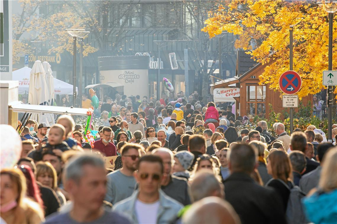 Backnangs Stadtmarketing bleibt beim Kulturamt