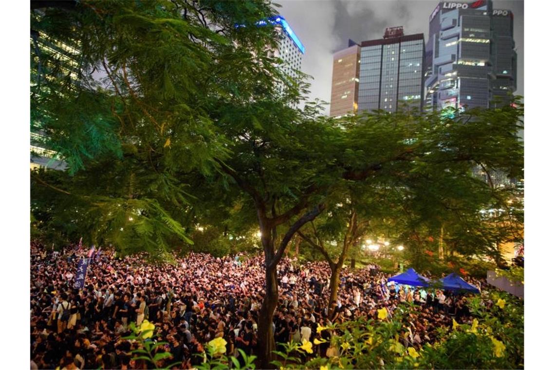 Eine Protestkundgebung im Chater Garden im Bezirk Central am Freitagabend. Foto: Gregor Fischer