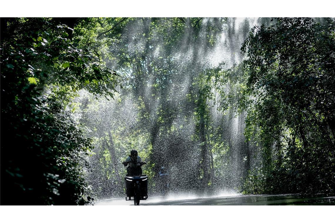 Eine Radfahrerin fährt am Morgen durch einen Wasserstrahl im Tiergarten in Berlin.