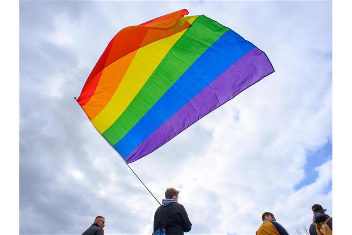 Eine Regenbogenfahne wird durch die Luft geschwungen. Foto: Klaus-Dietmar Gabbert/dpa-Zentralbild/dpa