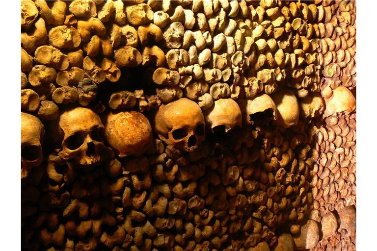 Eine Reihe Totenköpfe hängt an einer Wand der Katakomben in Paris.
