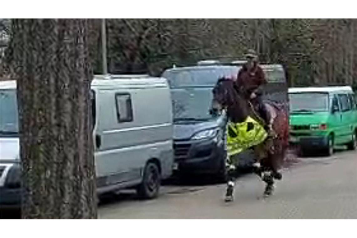 Reitlehrerin auf Pferd sorgt für ungewöhnliches Blitzerfoto
