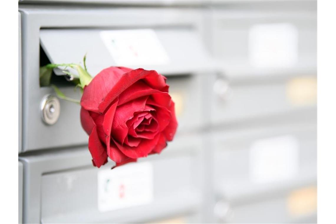 Valentinstag: Fakten und Tipps rund um die Liebe Eine rote Rose zum Valentinstag? Kann sein, muss aber nicht sein. Paare können sich Liebe ganz unterschiedlich zeigen. Foto: Soeren Stache/dpa-Zentralbild/dpa