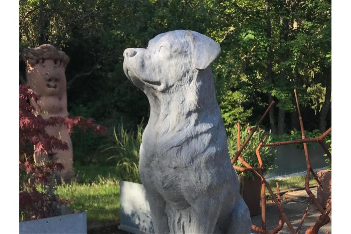 Eine Rottweilerfigur aus Beton steht neben anderen Pflanzenkübeln. Foto: Jürgen Knubben/Privat/dpa/Archivbild