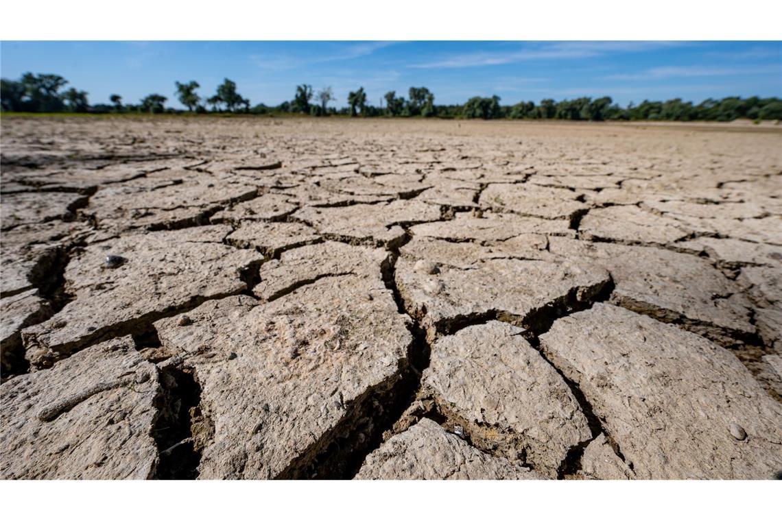 Gesundheitsrisiko Klimawandel: WHO-Gremium soll Hilfe bieten Eine Sandbank an der Niedrigwasser führenden Donau.
