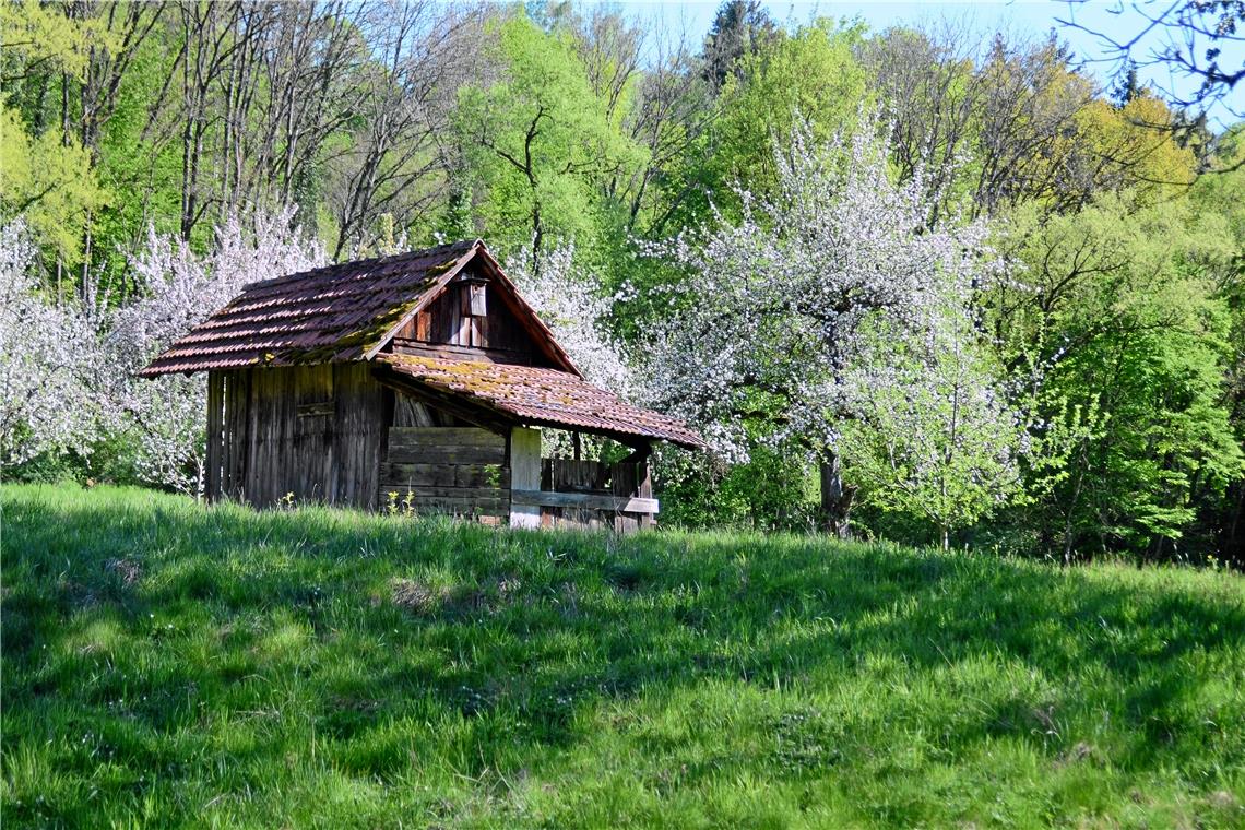 Geschirrhütten im Außenbereich sanieren