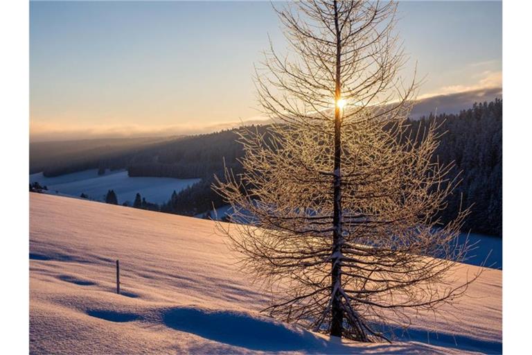 Eine schneebedeckte Landschaft ist zu sehen. Foto: Philipp von Ditfurth/dpa/Archivbild