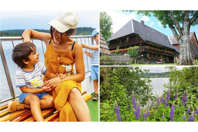 Eine schöne Rundwanderung um den Titisee herum.