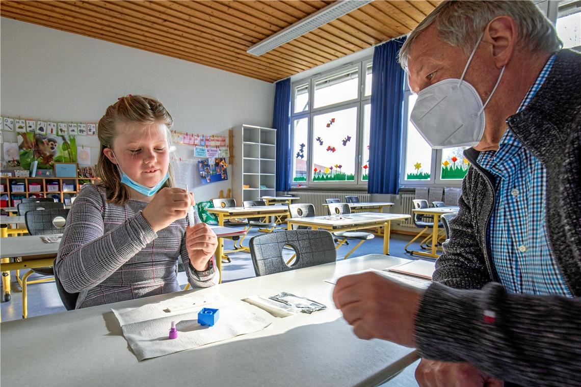 Eine Schülerin der 2. Klasse an der Murrtalschule in Oppenweiler macht einen Lolli-Selbsttest. Rektor Siegfried Bubeck hilft. Foto: A. Becher