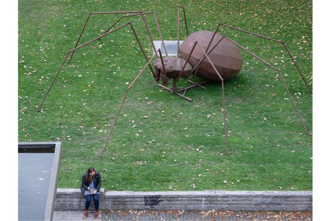 Eine Skulptur des Künstlers Andreas Furtwängler in Form einer Spinne steht auf einer Rasenfläche in der Innenstadt. Foto: Marijan Murat/dpa