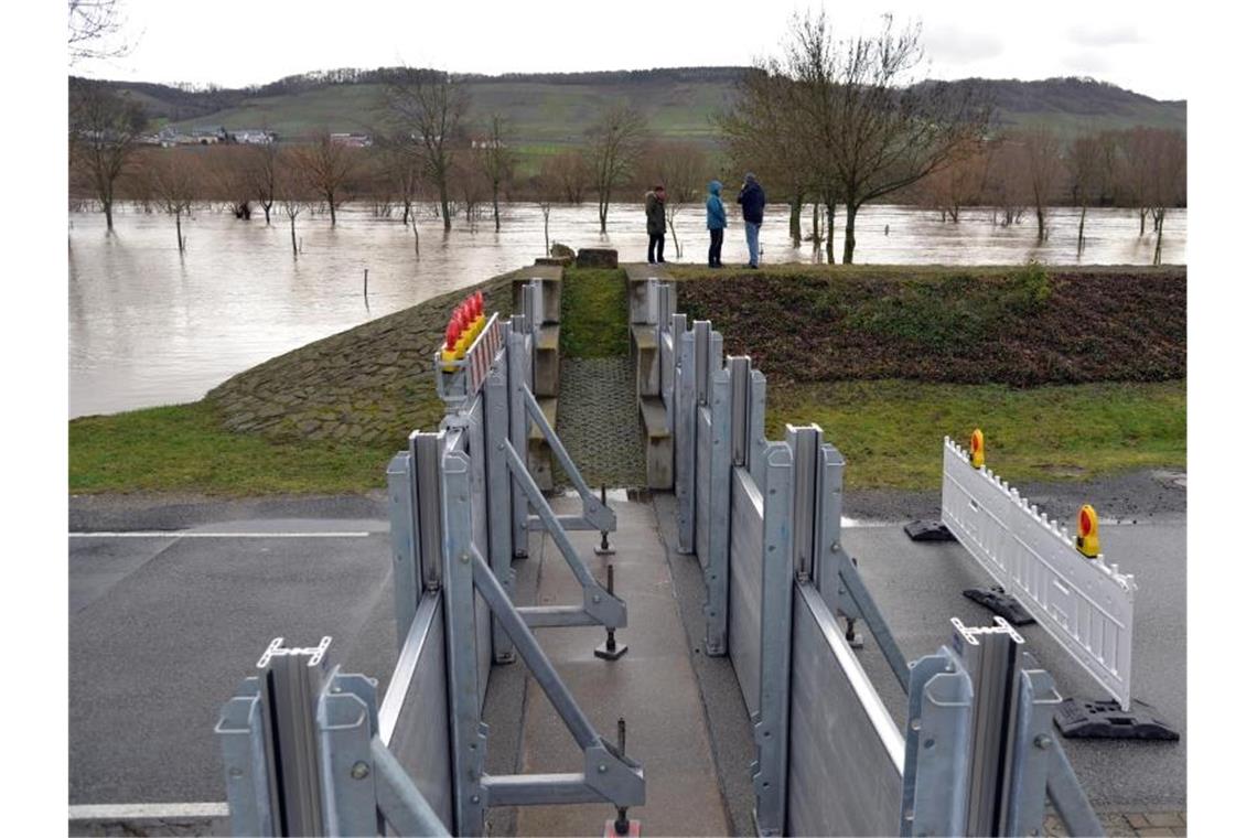 Hochwasser nach Dauerregen - Wetterberuhigung in Sicht Eine Spundwand soll verhindern, dass das Mosel-Wasser in den Ort Kesten überläuft. Foto: Harald Tittel/dpa