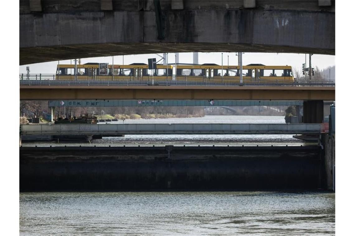 Immer weniger heimische Fische im Neckar Eine Stadtbahn fährt über eine Brücke, darunter sind der Neckar und das Wehr der Staustufe Cannstatt zu sehen. Foto: Marijan Murat/dpa
