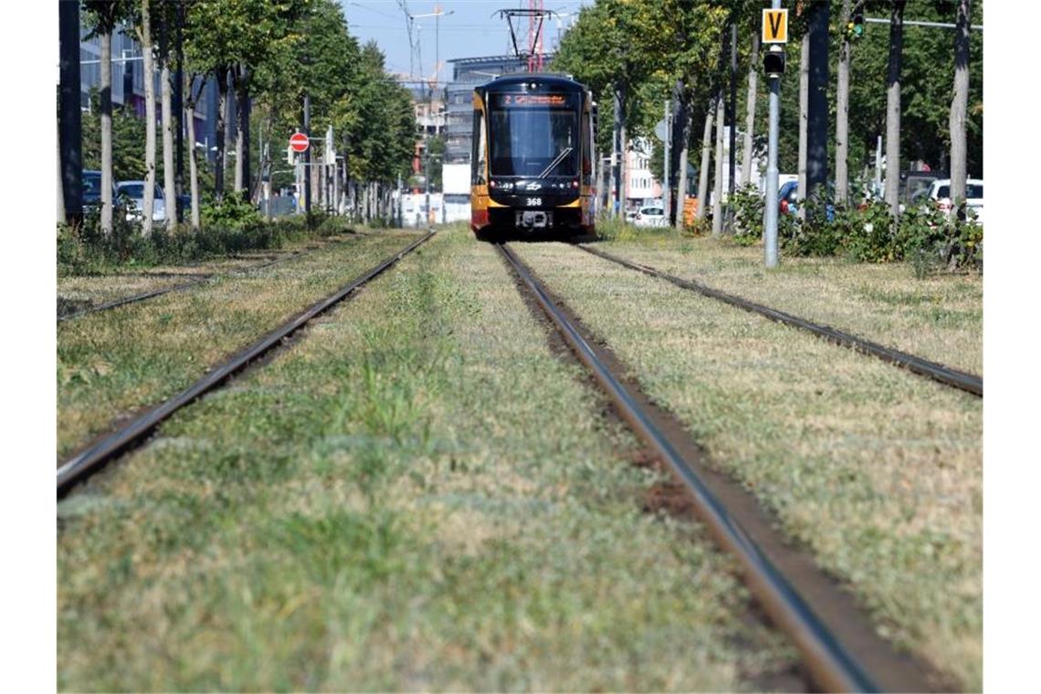 Karlsruher Gemeinderat gegen Änderung an Straßenbahn-Plan Eine Straßenbahn in Karlsruhe. Foto: Uli Deck/dpa/Archivbild