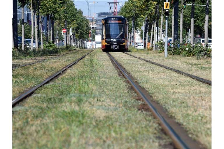 Eine Straßenbahn in Karlsruhe. Foto: Uli Deck/dpa/Archivbild