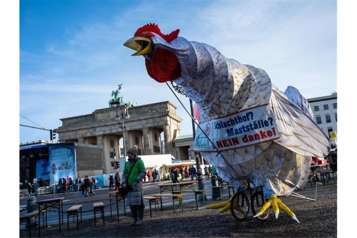 „Wir haben es satt!“: Tausende fordern neue Agrarpolitik Eine überdimensionierte Hühnerfigur steht vor dem Brandenburger Tor. Foto: Christophe Gateau/dpa