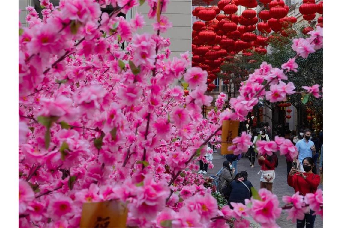 Chinesen in aller Welt begrüßen das Jahr des Tigers Eine üppig dekorierte Straße zur Feier des chinesischen Neujahrsfestes in Hongkong. Foto: Vincent Yu/AP/dpa