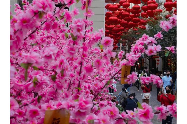 Eine üppig dekorierte Straße zur Feier des chinesischen Neujahrsfestes in Hongkong. Foto: Vincent Yu/AP/dpa