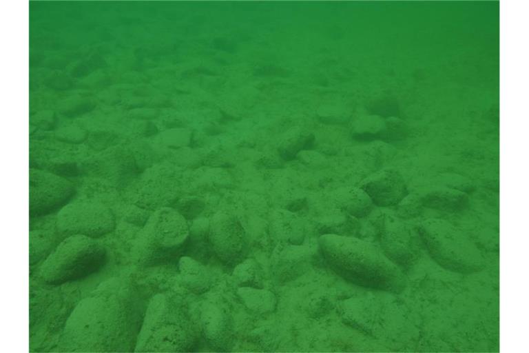 Eine Unterwasseraufnahme von Hügel fünf. Foto: Matthias Schnyder/Amt für Archäologie des Kantons Thurgau/Archivbild