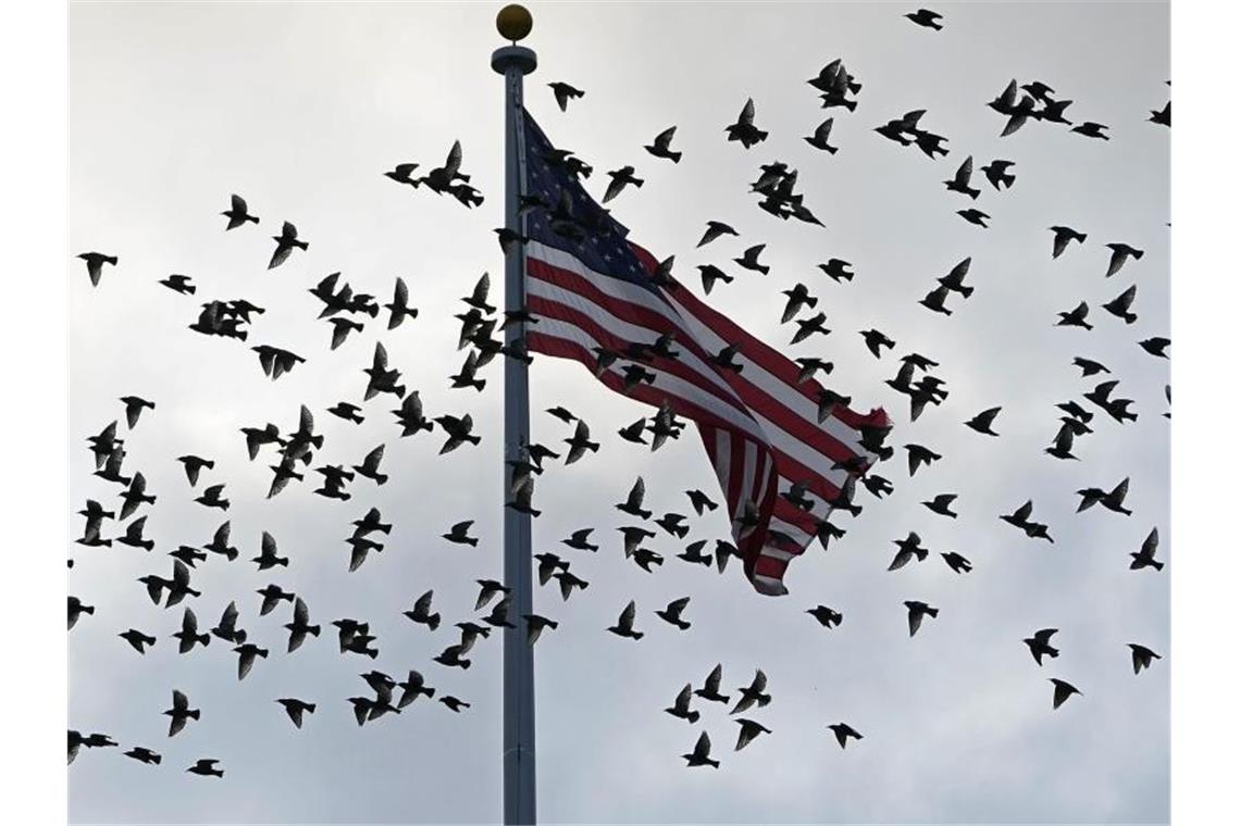 Gespräche zwischen US-Delegation und Taliban in Doha geplant Eine US-Delegation will sich in Doha mit hochrangigen Vertretern der Taliban treffen. Foto: Susan Walsh/AP/dpa