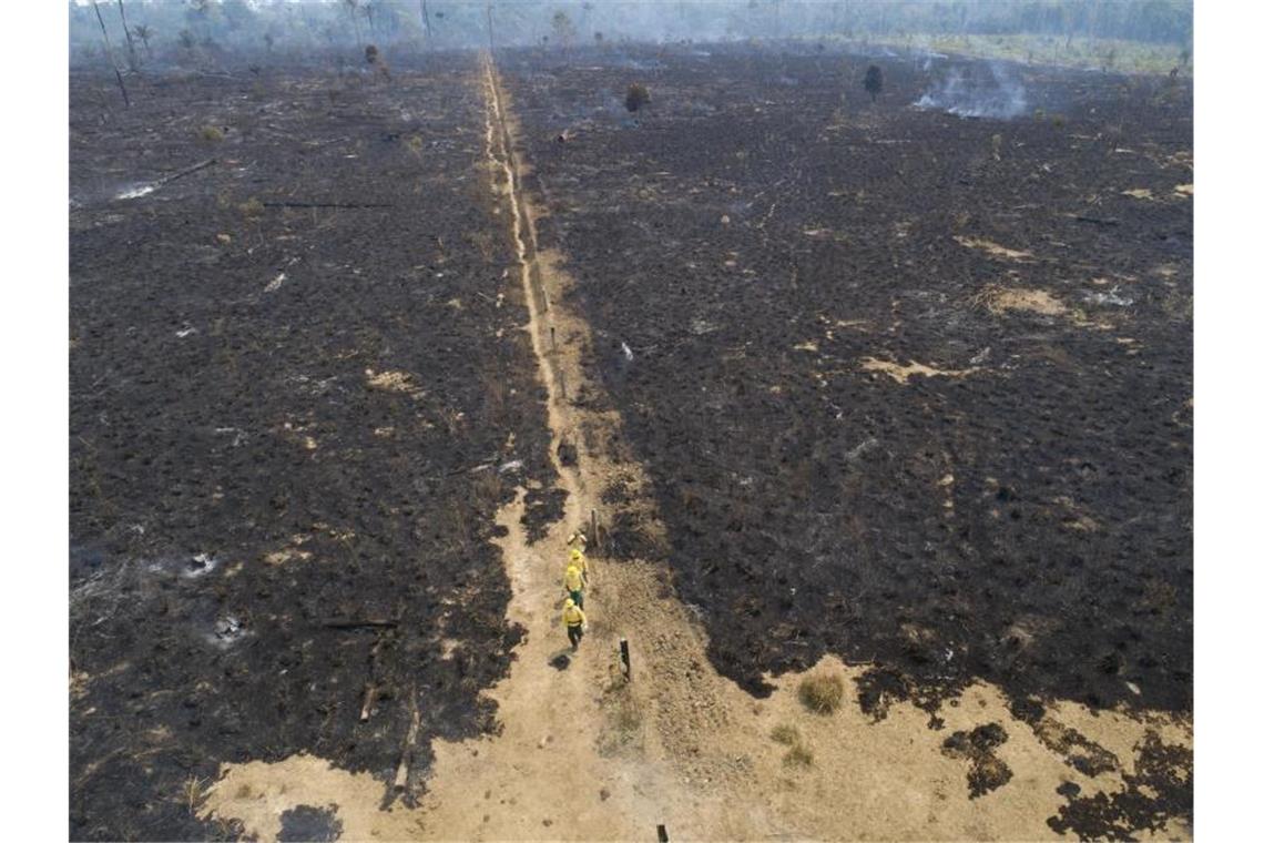 Eine verbrannte Fläche in Brasilien wo immer mehr Regenwald verschwindet. Foto: Andre Penner/AP/dpa
