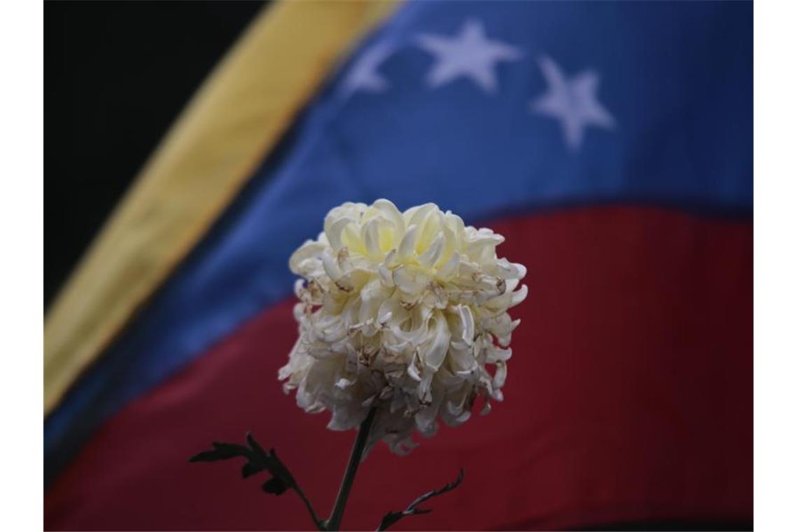 Eine verwelkte Blume vor der Flagge von Venezuela während eines Protestes gegen die Regierung. Foto: Rafael Hernandez