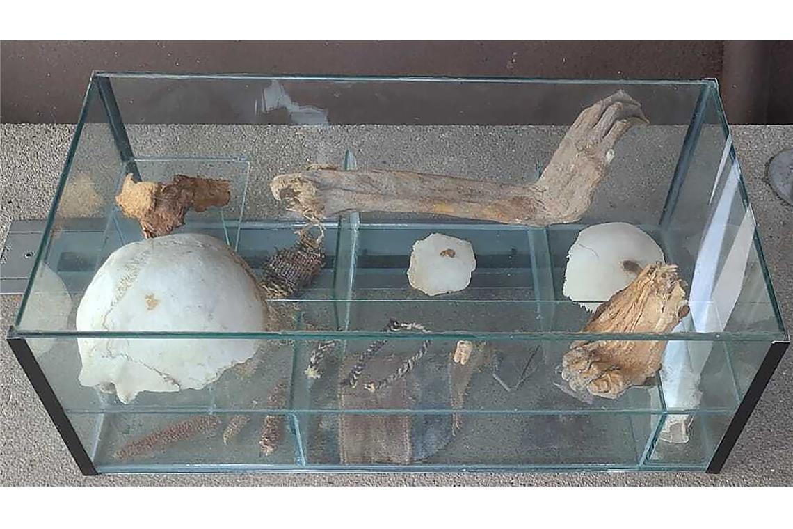 Eine Vitrine mit menschlichen Überresten war von Unbekannten in der Nacht vom 3. auf den 4. Oktober 2025 vor dem Archäologischen Schaufenster der Generaldirektion Kulturelles Erbe Rheinland-Pfalz abgestellt worden. Es handelt sich um mindestens 1000 Jahre alte Knochen und Kleidungsreste.