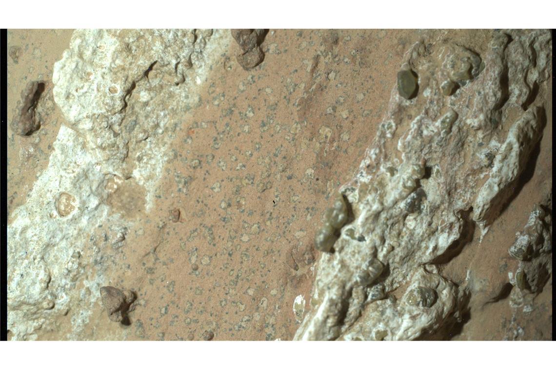 Eine vom Nasa-Rover "Perseverance" im vergangenen Jahr auf dem Mars entnommene Gesteinsprobe könnte nach Angaben der US-Raumfahrtbehörde möglicherweise Spuren von früherem mikrobiellen Leben enthalten.