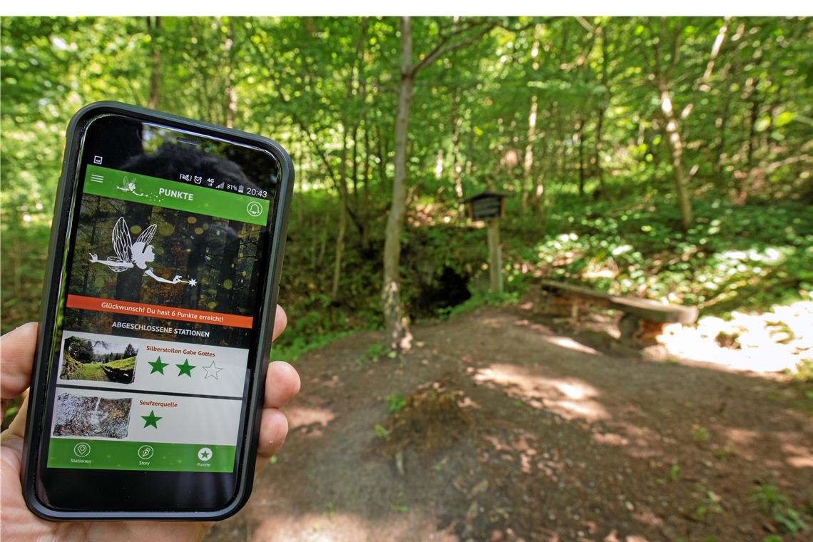 Wandern mit der digitalen Waldfee