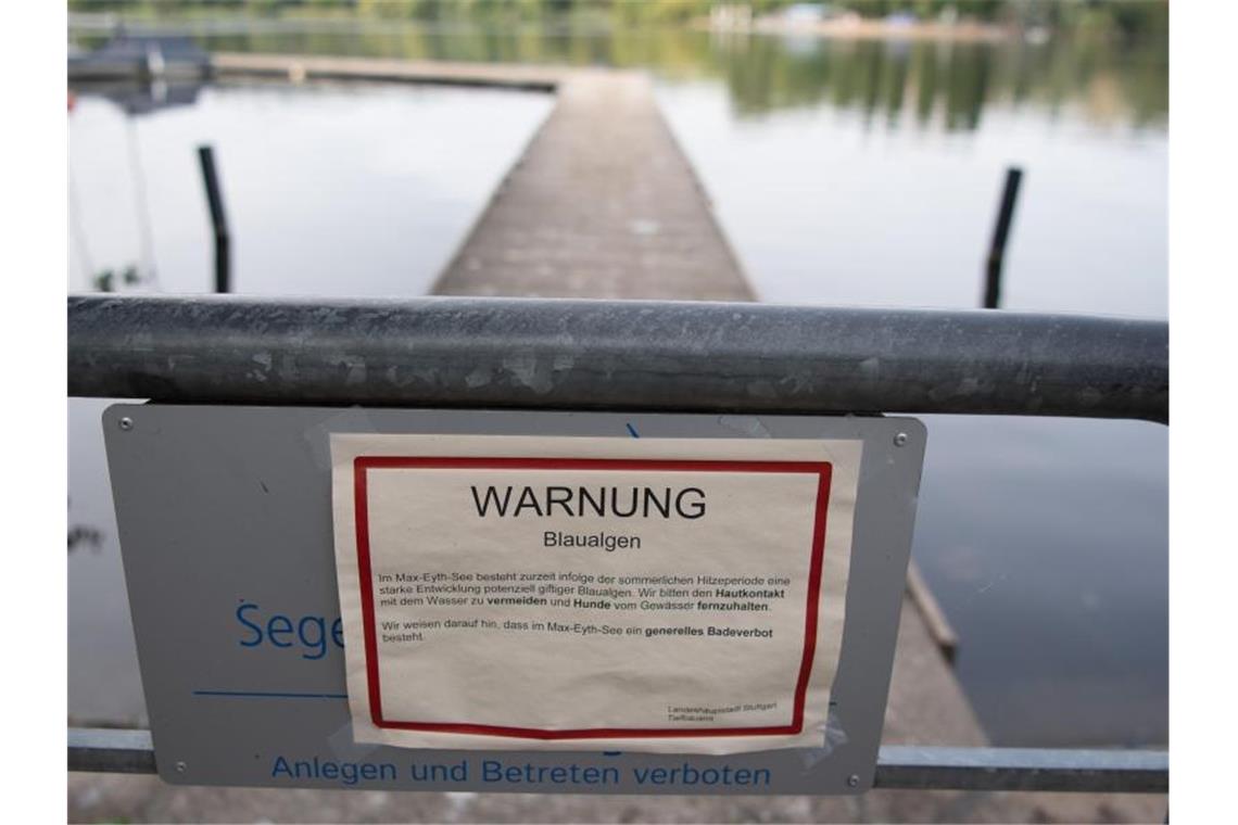 Eine Warnung vor Blaualgen steht am Max-Eyth-See. Foto: Sebastian Gollnow/Archivbild