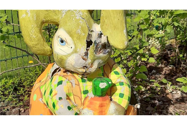 Eine Waschbärin hat sich einen Osterhasen als sicheren Ort für ihre Jungen ausgesucht.