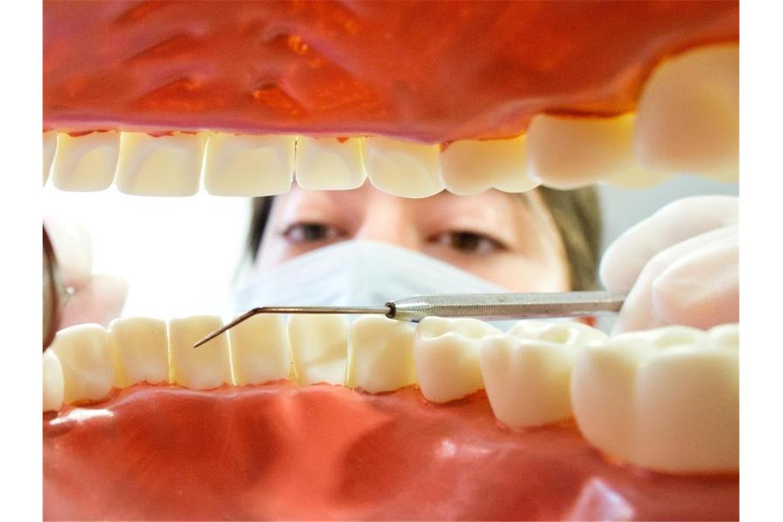Eine Zahnarzthelferin hinter einem künstlichen Gebiss. Foto: picture alliance / dpa/Symbolbild