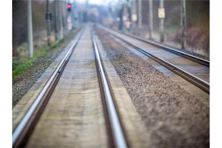 Eine zweigleisige elektrifizierte Bahnstrecke ist zu sehen. Foto: Jens Büttner/dpa-Zentralbild/ZB/Symbol