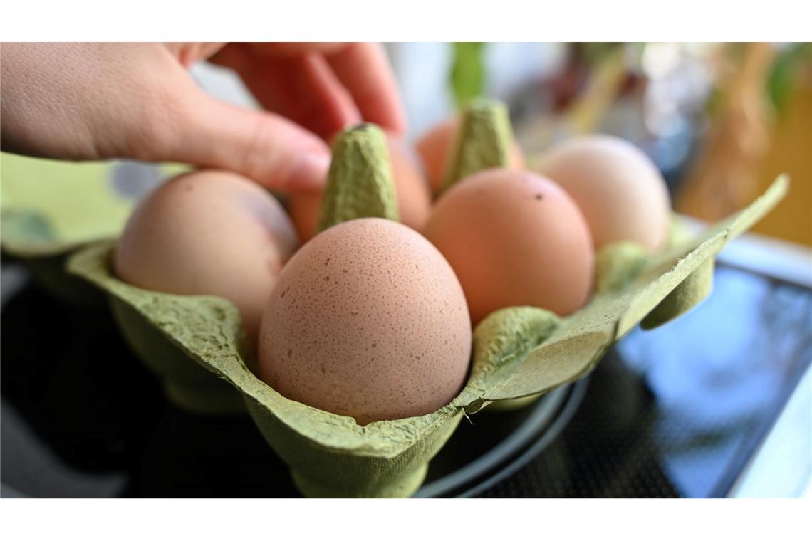 Einen Notstand bei der Eier-Versorgung gibt es nicht - aber Lücken in den Regalen der Händler. (Symbolbild)