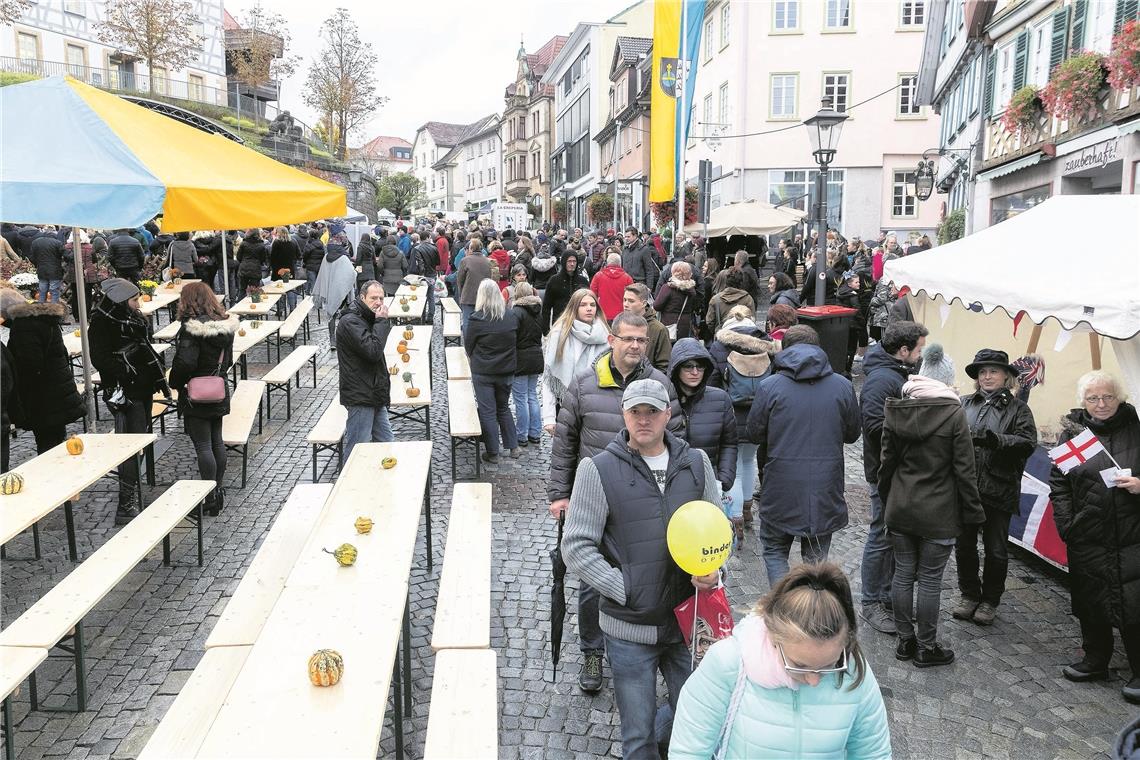 Einen verkaufsoffenen Sonntag wie beispielsweise in den letzten Jahren im Rahmen des Gänsemarkts wird es in diesem Jahr in Backnang nicht geben. Archivfoto: J. Fiedler