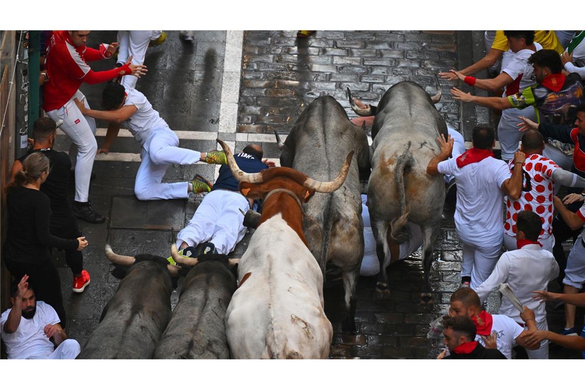 Fünf Verletzte bei Stierlauf in Pamplona Einer der gefährlichen Momente, doch die Bullen springen meist reflexartig über Gestürzte.