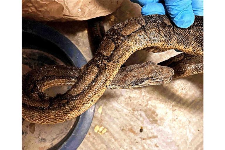 Eines der geretteten Tiere