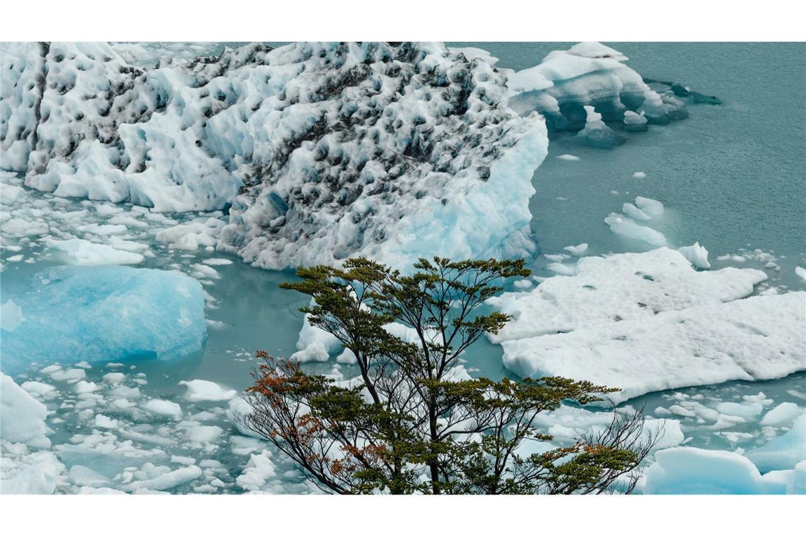 Eines der spektakulärsten Naturschauspiele Südamerikas droht zu verschwinden.