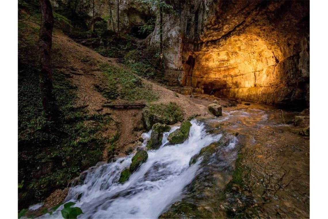Gemeinde erfasst nach Höhlenunglück erstmals Besucherzahl Eingangsbereich der Falkensteiner Höhle. Foto: Christoph Schmidt/dpa/dpa-tmn/Archivbild
